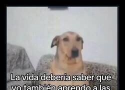 Enlace a Nunca he escuchado lo de 