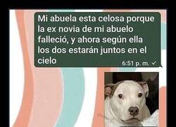 Enlace a Los celos son más fuertes que la vida y la muerte