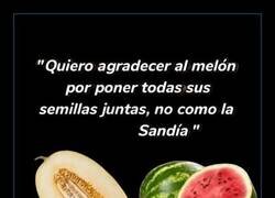 Enlace a El melón es superior genéticamente a la sandía