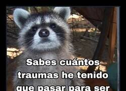 Enlace a Un cómico está creado a partir de traumas