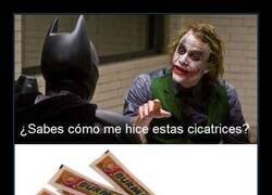 Enlace a Selección natural para niños