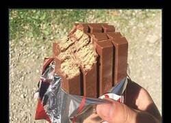 Enlace a Bueno... mejor esto que drogarte