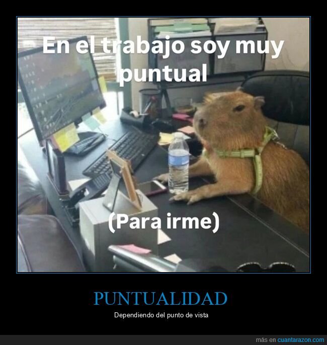 puntual,trabajo,irme