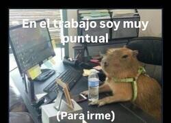 Enlace a Tu jefe estará contento