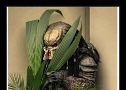 Enlace a Todos tenemos un punto de asociales