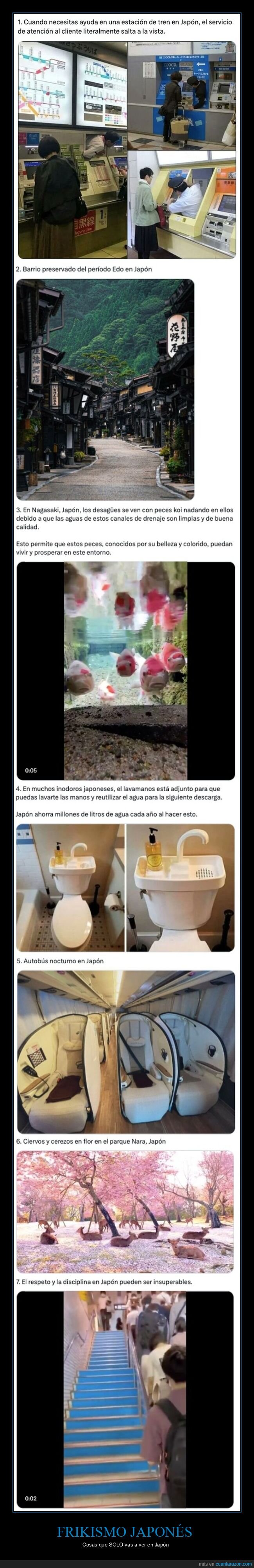 japon,curiosidades,cosas