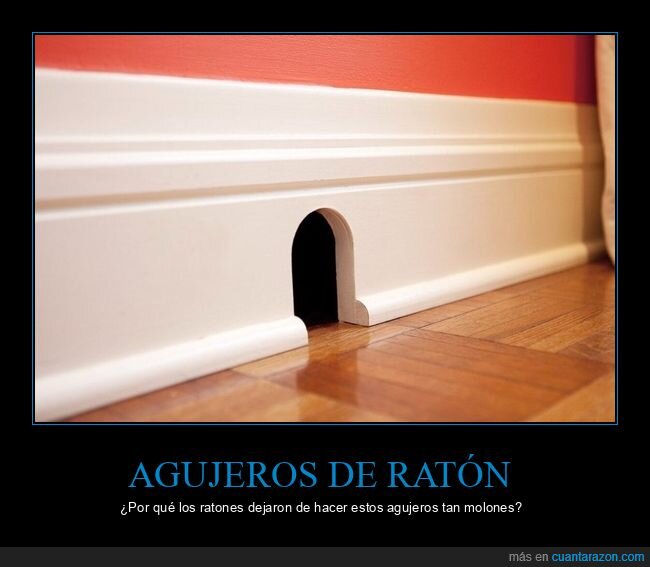 agujero,ratones,casa