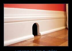 Enlace a Desde que los niños dejaron de ver Tom & Jerry