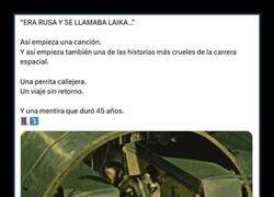 Enlace a La triste historia de Laika, la primera perra rusa que voló al espacio