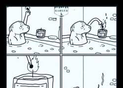 Enlace a Me gusta el concepto