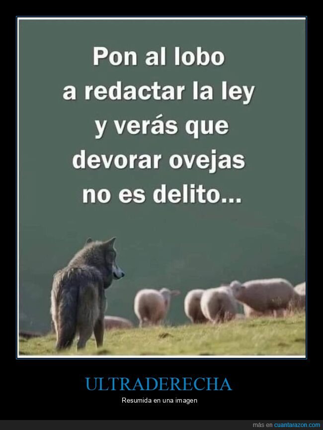 lobo,redactar,ley,devorar,ovejas