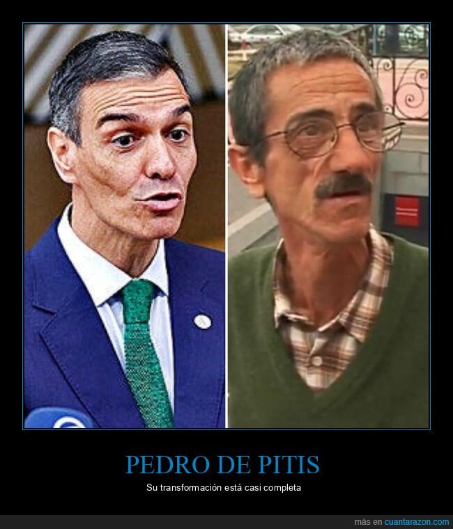 pedro sanchez,ramon de pitis,parecidos razonables