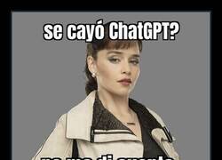 Enlace a Si cae a menudo, a muchos se les va a ver el plumero