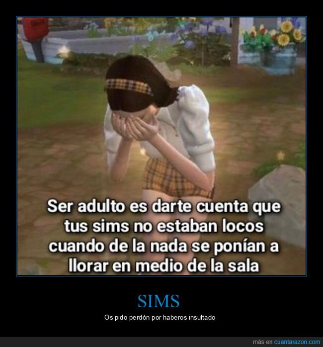 sims,locos,llorar