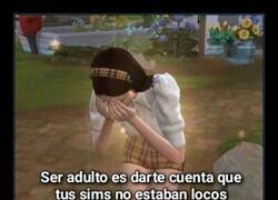 Enlace a Me faltó empatía con mis sims