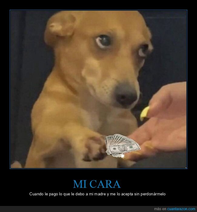 aceptar,madre,pagar,deber,dinero