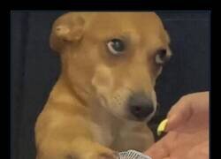 Enlace a Mami, ya me lo podrías perdonar