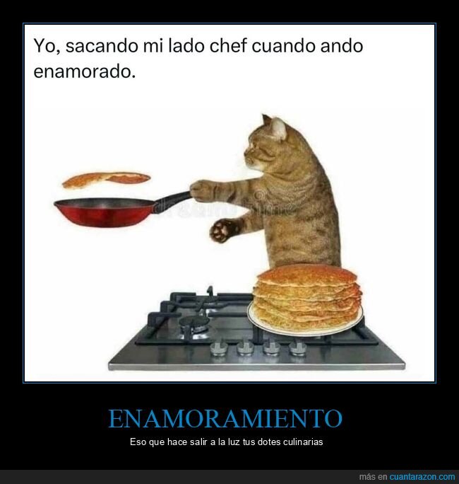 gato,amor,cocinar,crepes