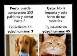 Enlace a Mi gato es mi padre