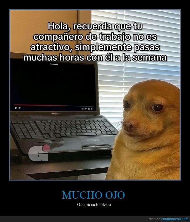 compañero,trabajo,atractivo