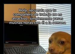 Enlace a Recordatorio amistoso