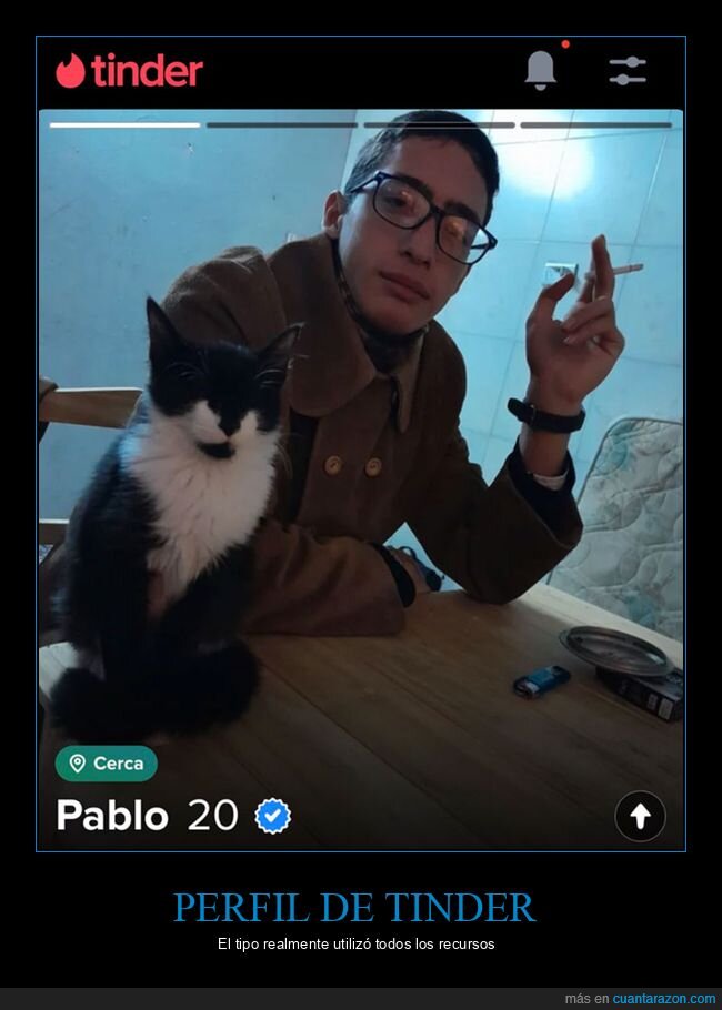 gatos,recursos,tinder