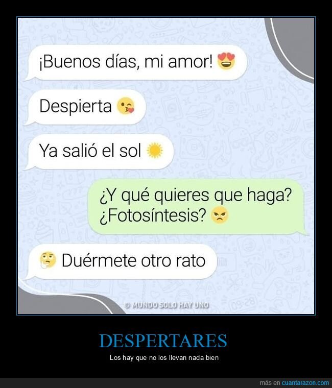 despertar,sol,fotosíntesis