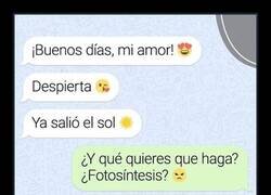 Enlace a Mal despertar