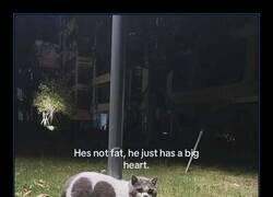 Enlace a Es todo amor