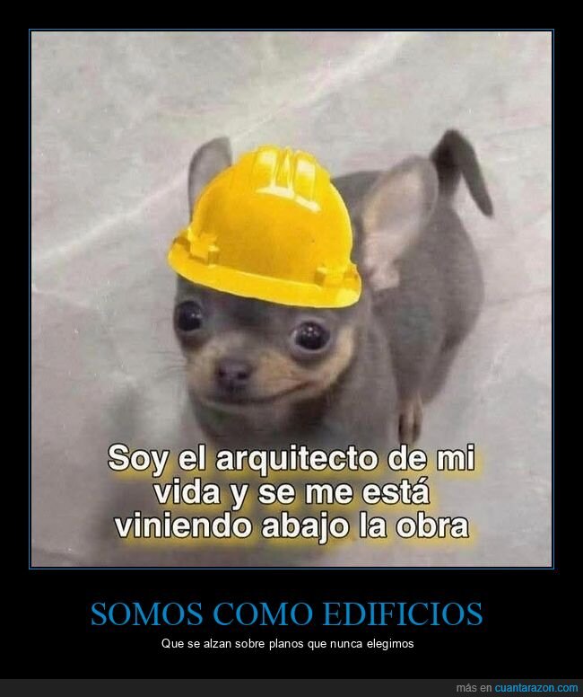 arquitecto,vida,obra
