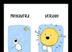 Enlace a Sol de primavera VS Sol de verano