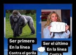 Enlace a Una elección complicada