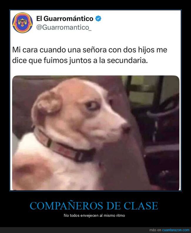 señora,hijos,compañeros