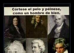 Enlace a El peinado de un hombre de bien