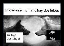 Enlace a Lobos internos