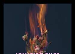 Enlace a Un verano duro