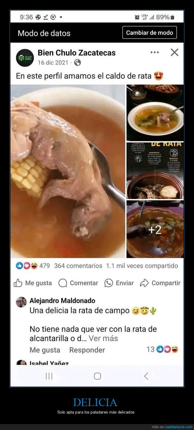 caldo,rata,wtf