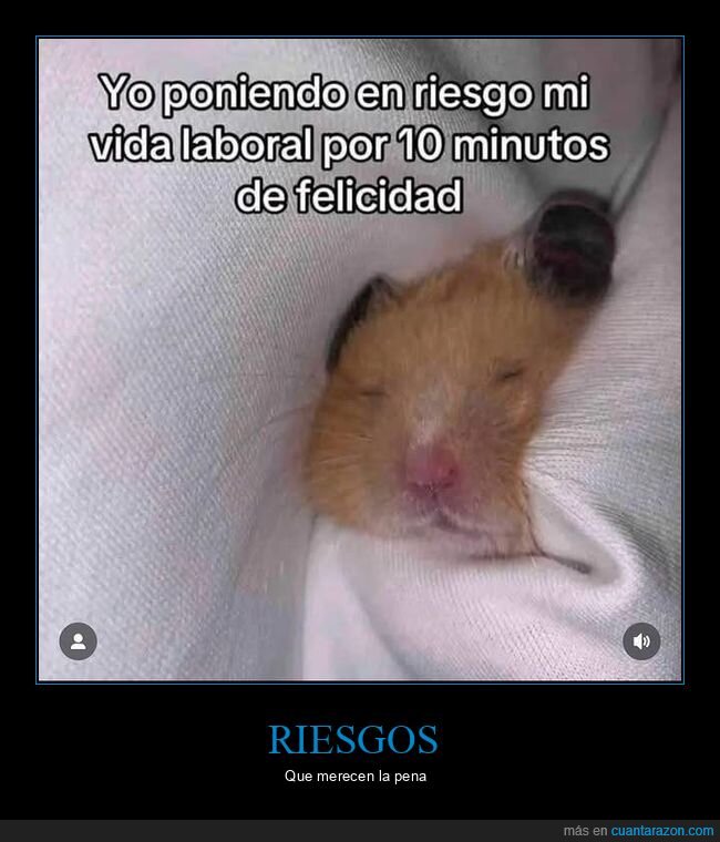 riesgo,vida laboral,cama,felicidad