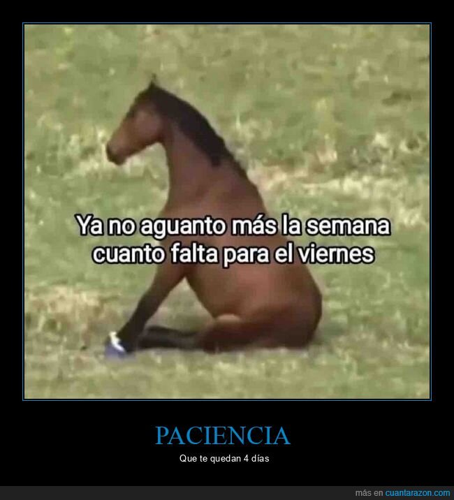 pleno,lunes,esperar,cansada,semana