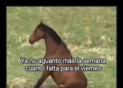 Enlace a Se me está haciendo larga esta tarde