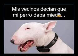 Enlace a Nueva denominación para los PPP