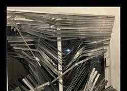 Enlace a Puro arte gatuno