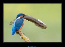 Enlace a Cuando mi madre hace mis croquetas preferidas