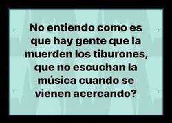 Enlace a No entiendo como hay ataques, si la música te avisa