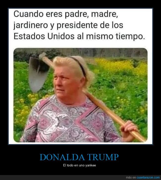 donald trump,parecido razonable