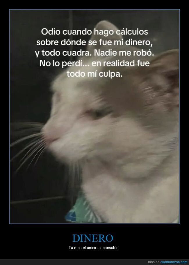 dinero,calculos,irse,perder