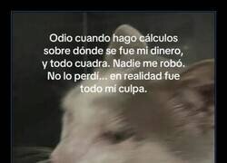 Enlace a El dinero vuela y nadie sabe cómo