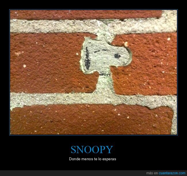 snoopy,pared,ladrillo