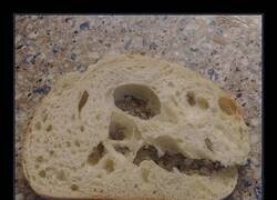 Enlace a Jurassic Pan