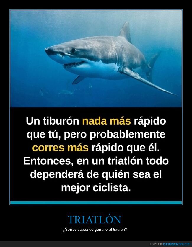 tiburon,triatlon,correr,nadar